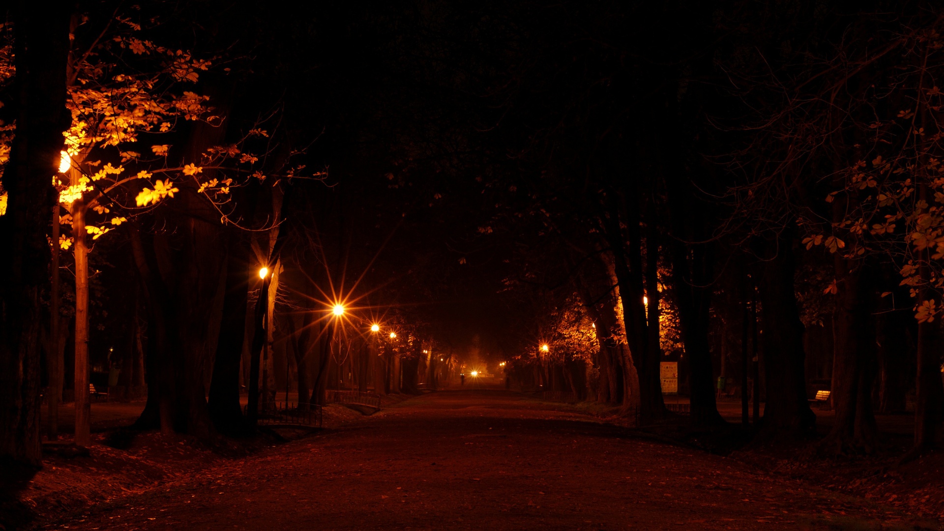  街道 树 灯 晚上浪漫的小巷道路风景桌面壁纸