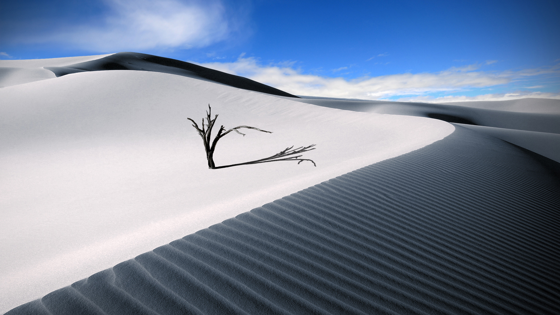 幽静的沙丘风景壁纸