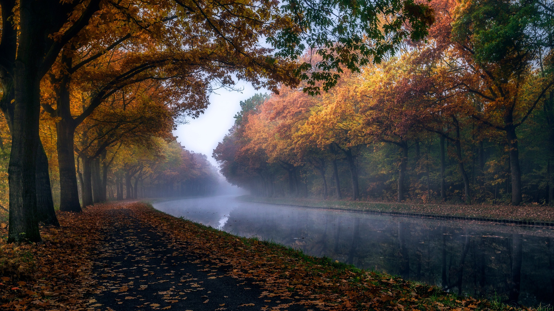 秋天的树林道路小河风景桌面壁纸