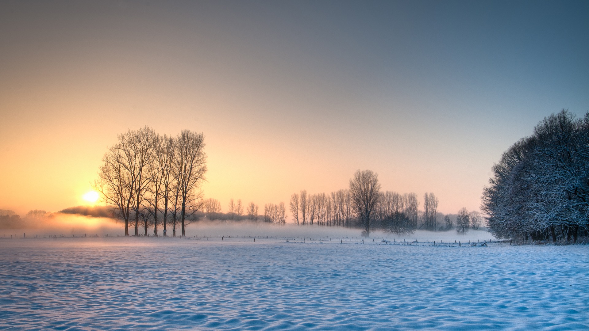 冬季，农场，雪，太阳，天空，树木，风景电脑壁纸