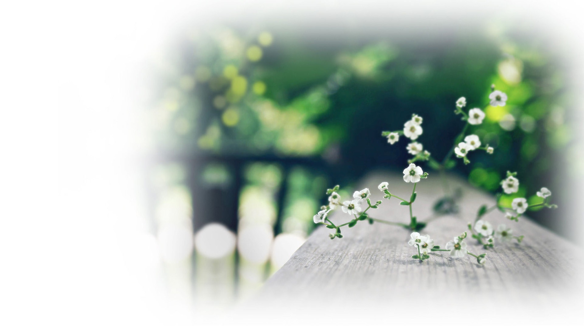 点点繁花壁纸