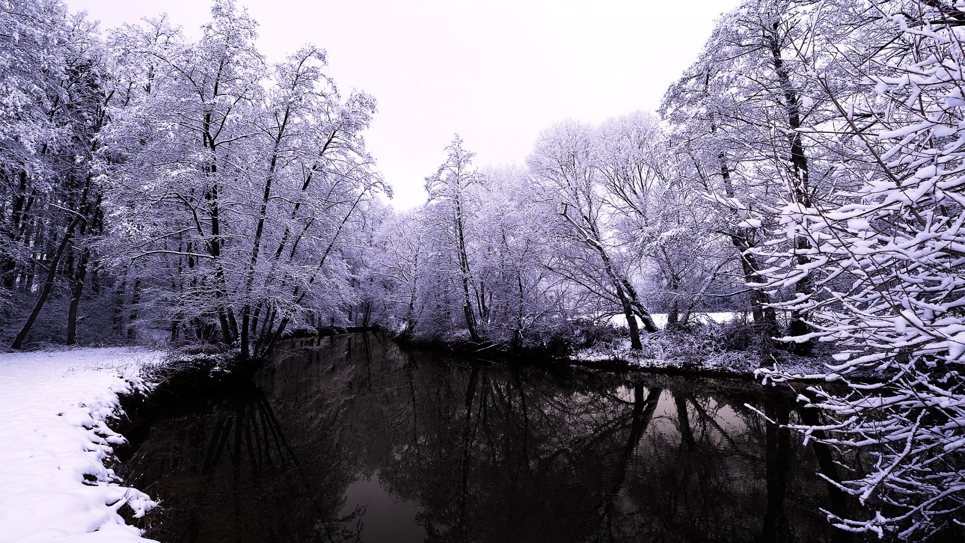 冬天,自然,森林,河流,雪,树木,倒映,美景,桌面壁纸