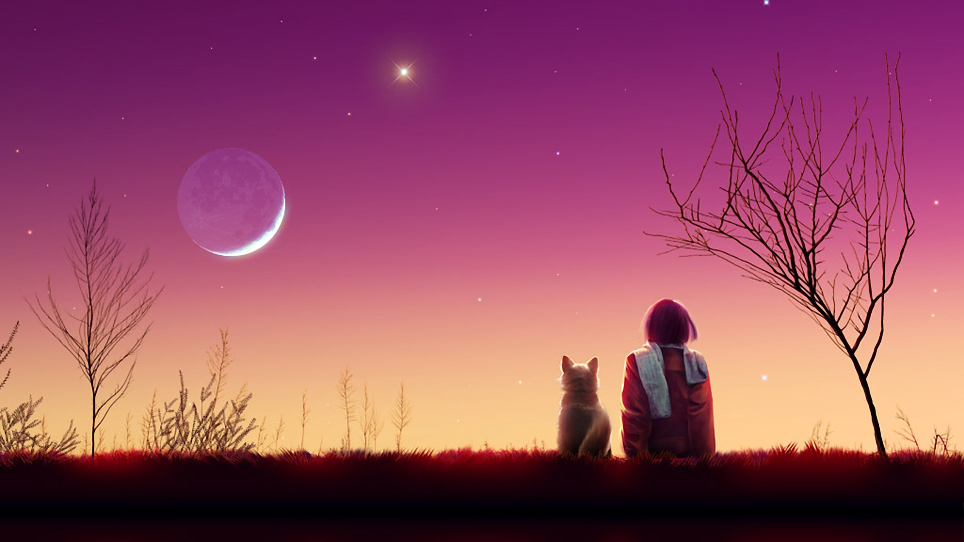 夜间,女孩,小狗,风景,月亮,星星,唯美加贺屋桌面壁纸