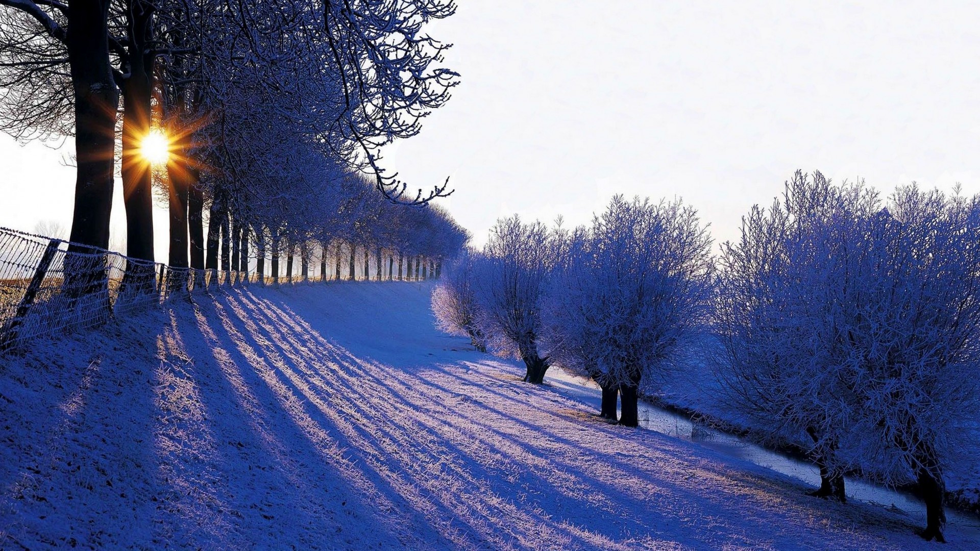 自然,冬天,山,雪,树林,阳光,天空,美丽的雪景桌面壁纸