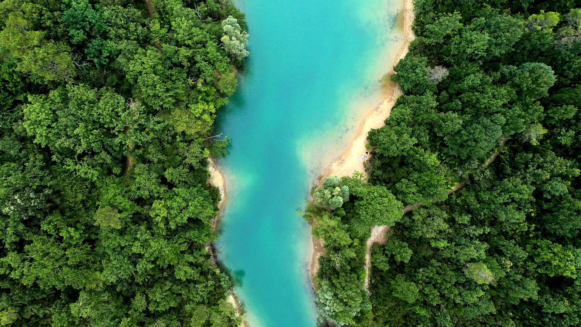 绿色森林 河流 大自然风景俯视风景壁纸