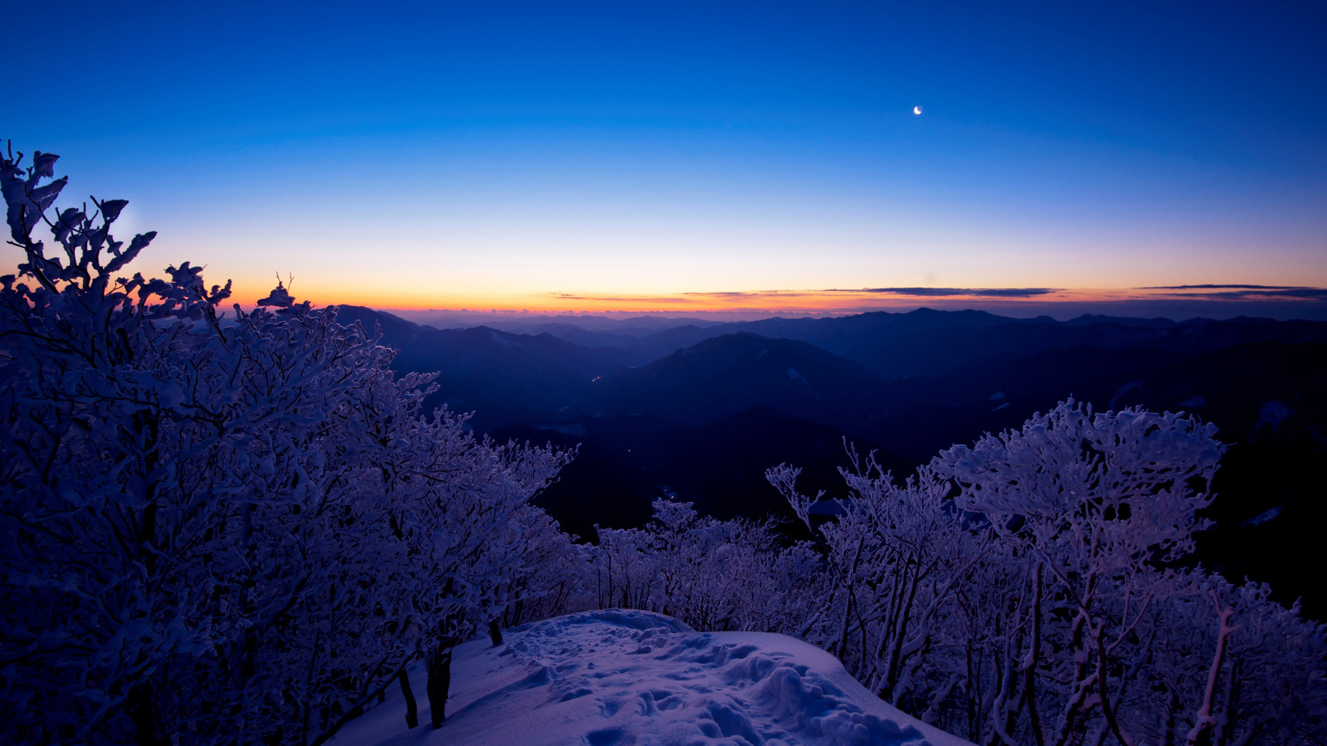 天空,夕阳,山,雪,树风景桌面壁纸