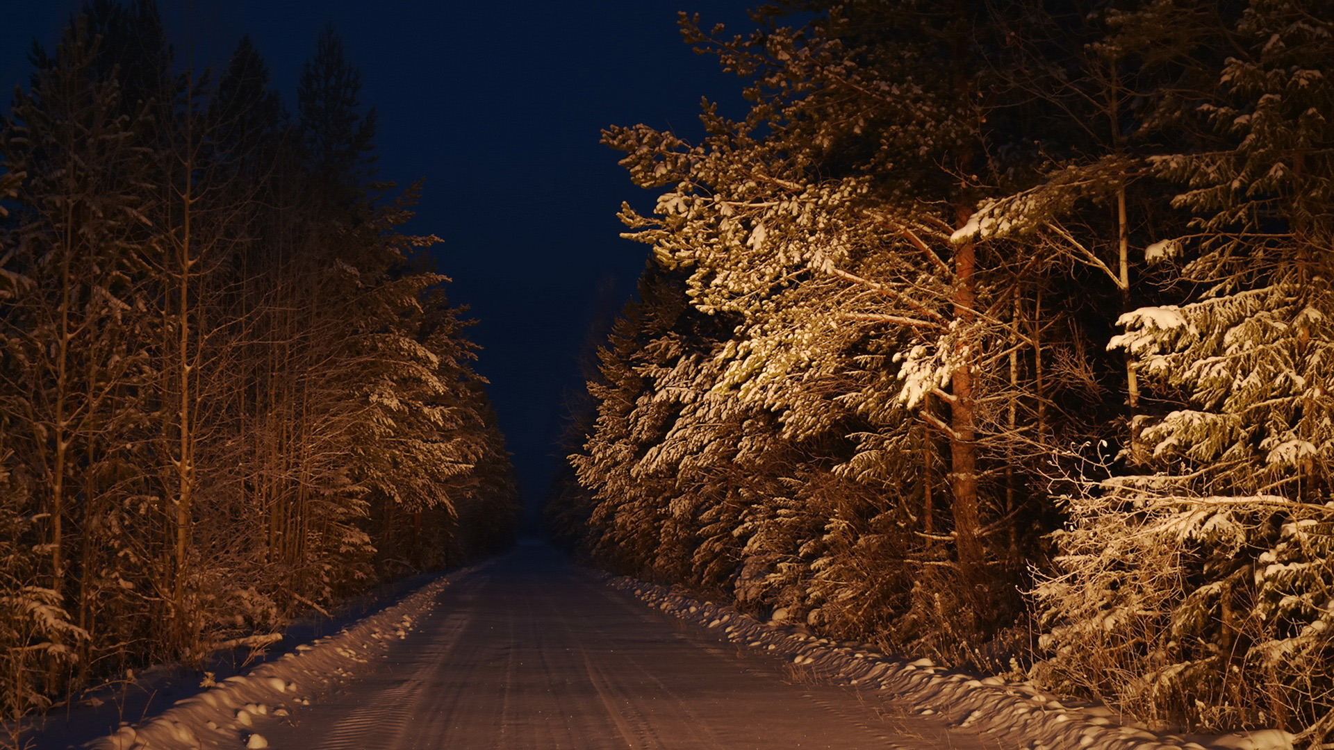 夜晚，森林的路，雪，冬季风景桌面壁纸