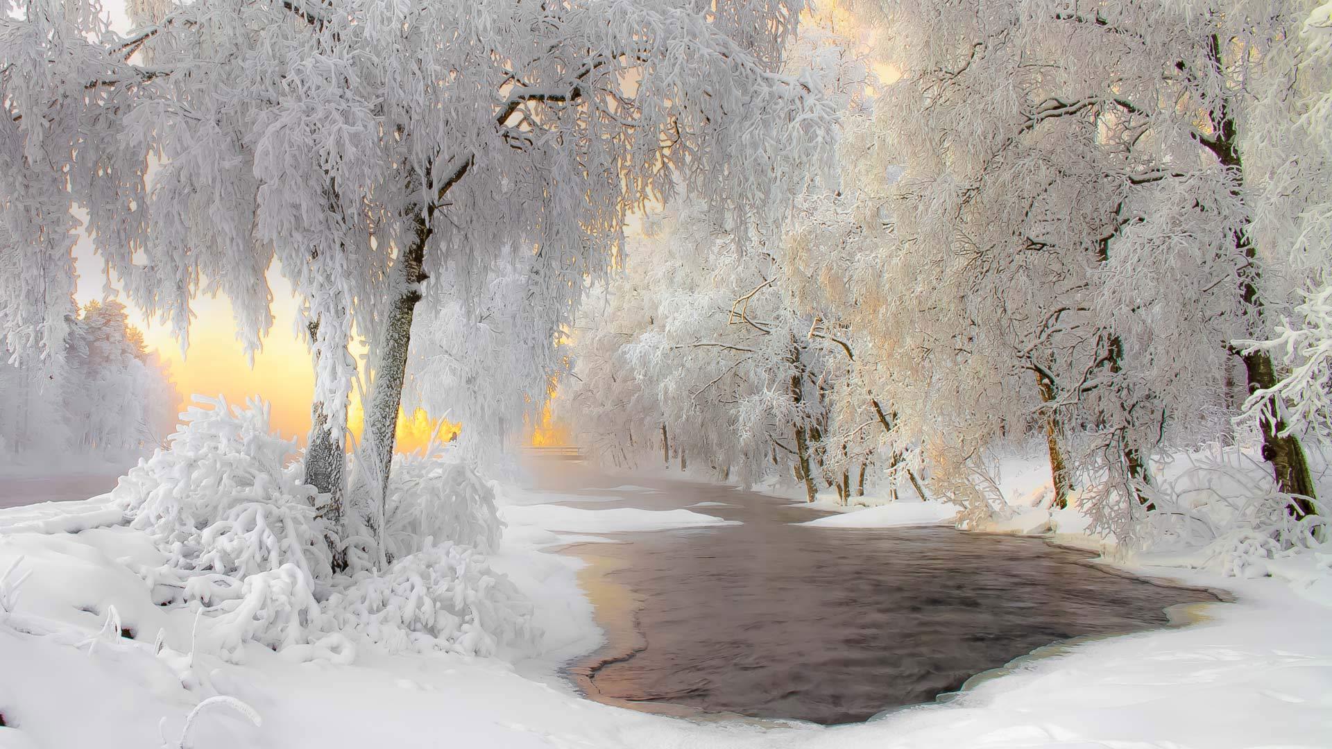 美丽的冬季雪景 树 河流 风景 壁纸