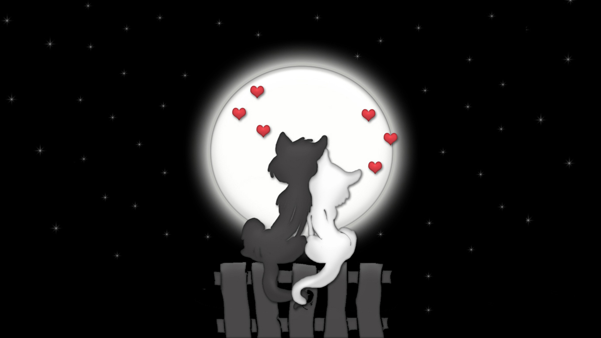 猫，爱，月亮，夜晚，星星，恋爱，桌面壁纸