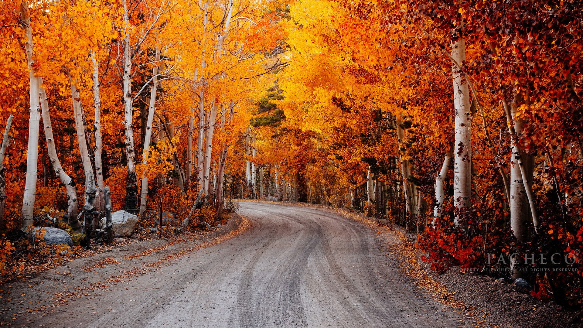 秋季，加利福尼亚州，唯美风景壁纸