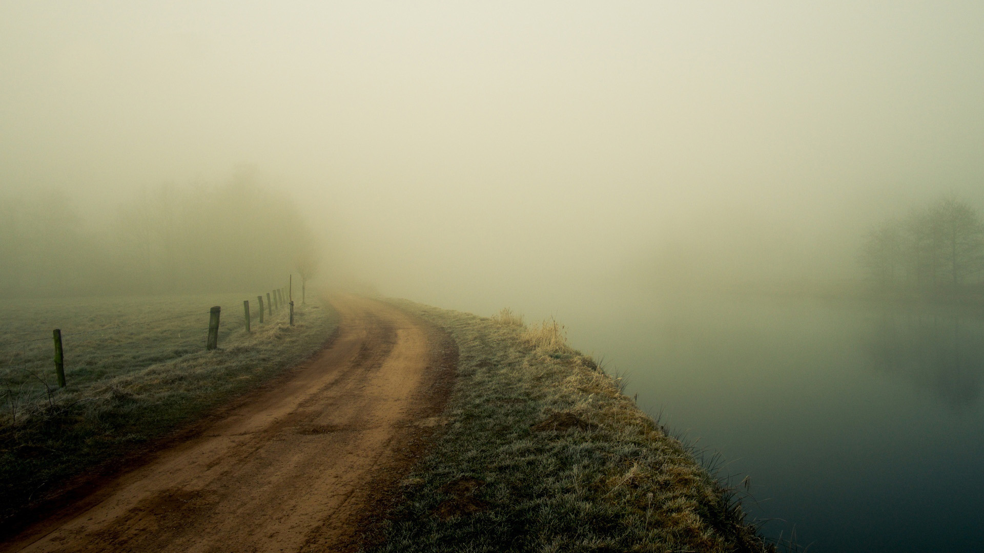早晨,雾自然风景,树,公路桌面壁纸