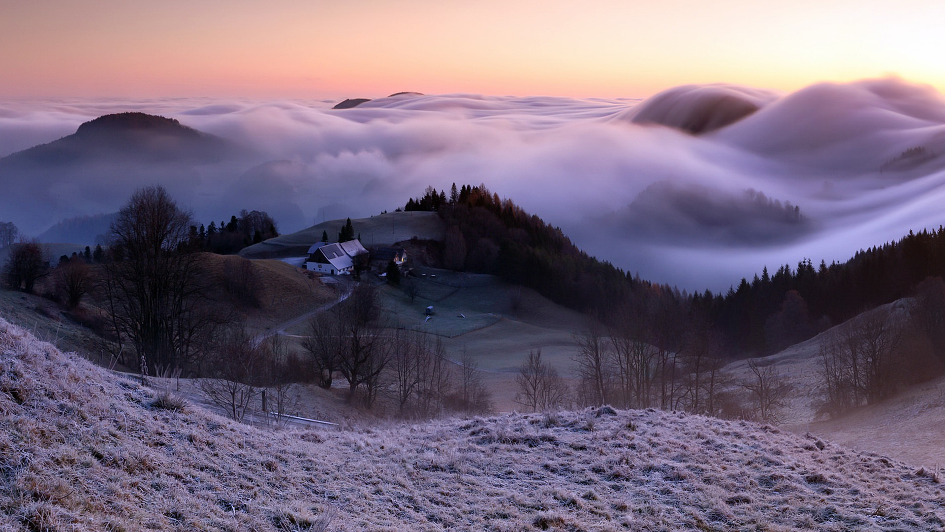 自然 雾 早晨的乡村风景桌面壁纸