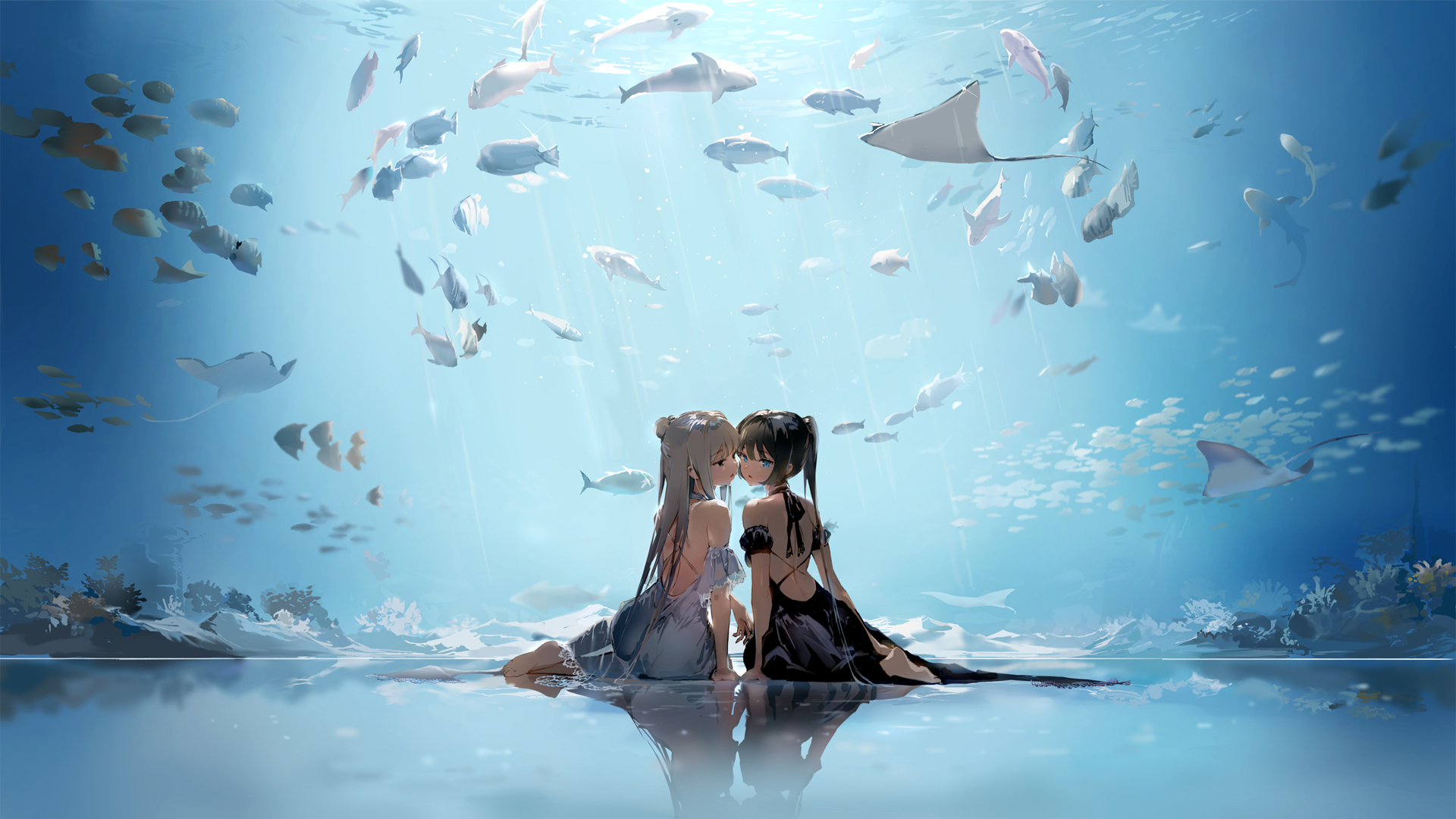 姐妹 女孩 光腿 素足 鱼 水族馆 2k动漫壁纸