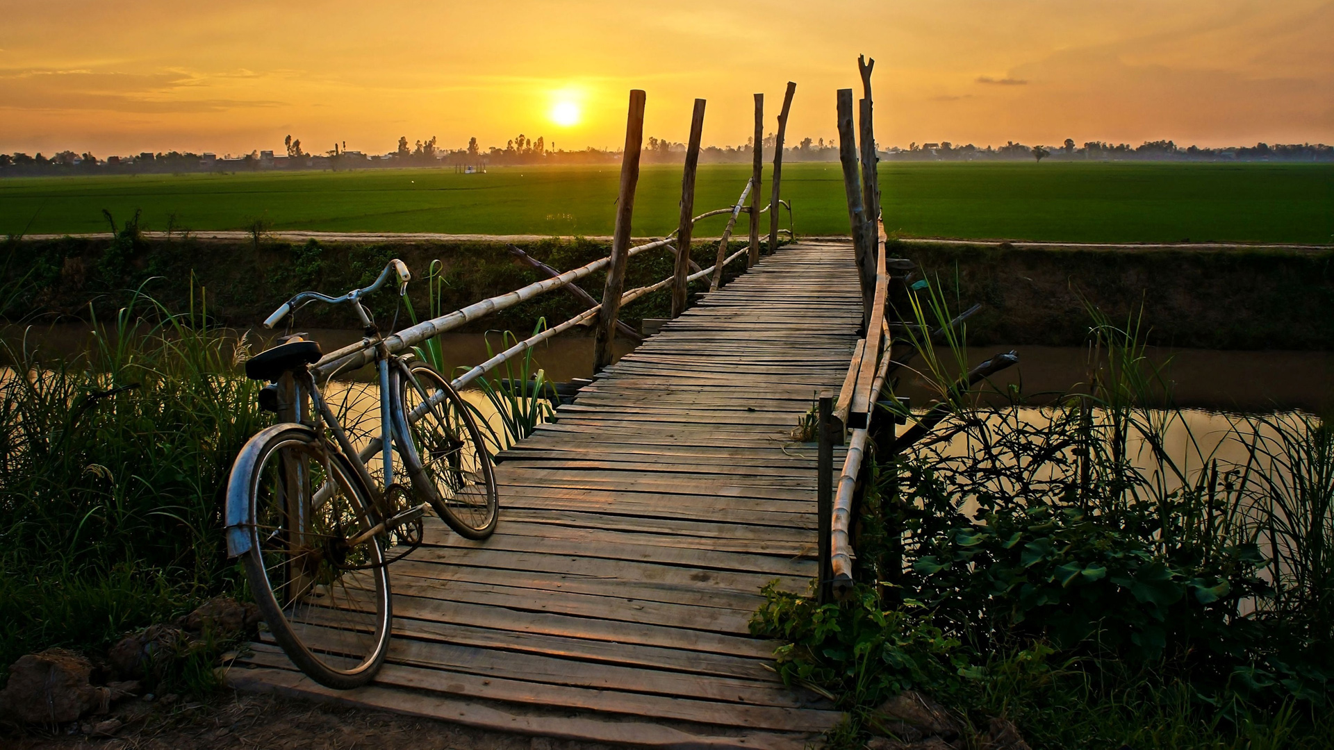日落,桥梁,自行车,河流,风景桌面壁纸