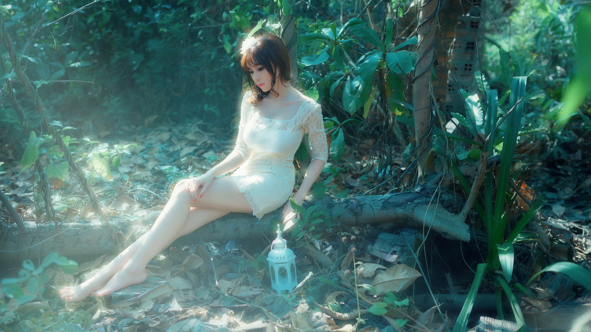 女孩,丛林,灯笼唯美桌面壁纸