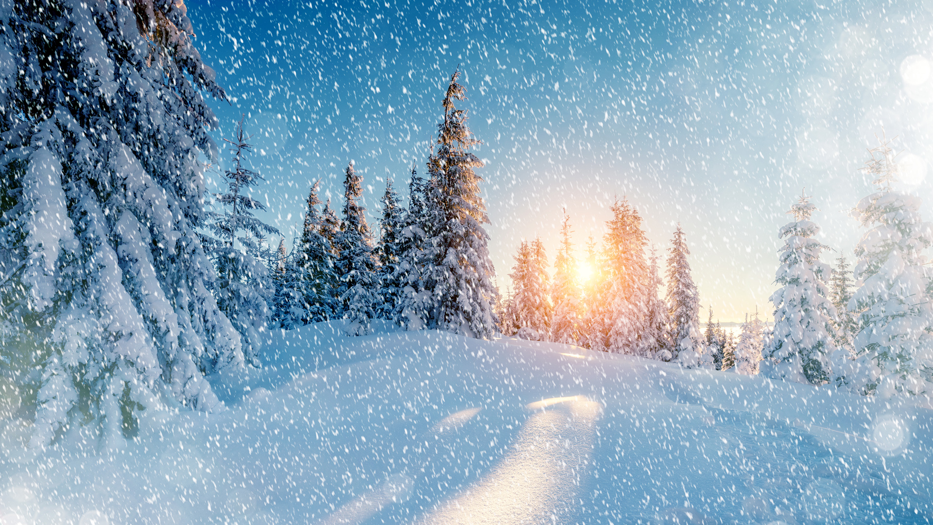 冬日图片唯美超清图片