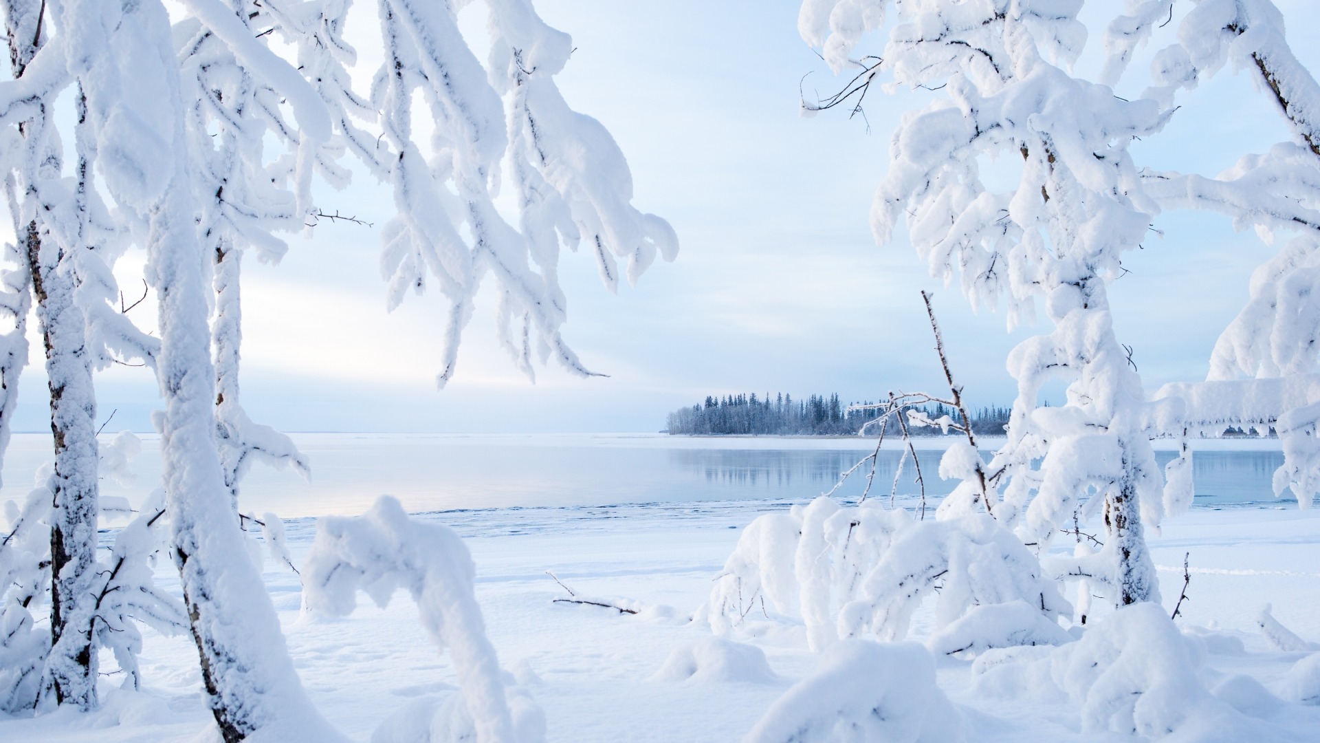 雪景图，湖，树，冬天雪景壁纸