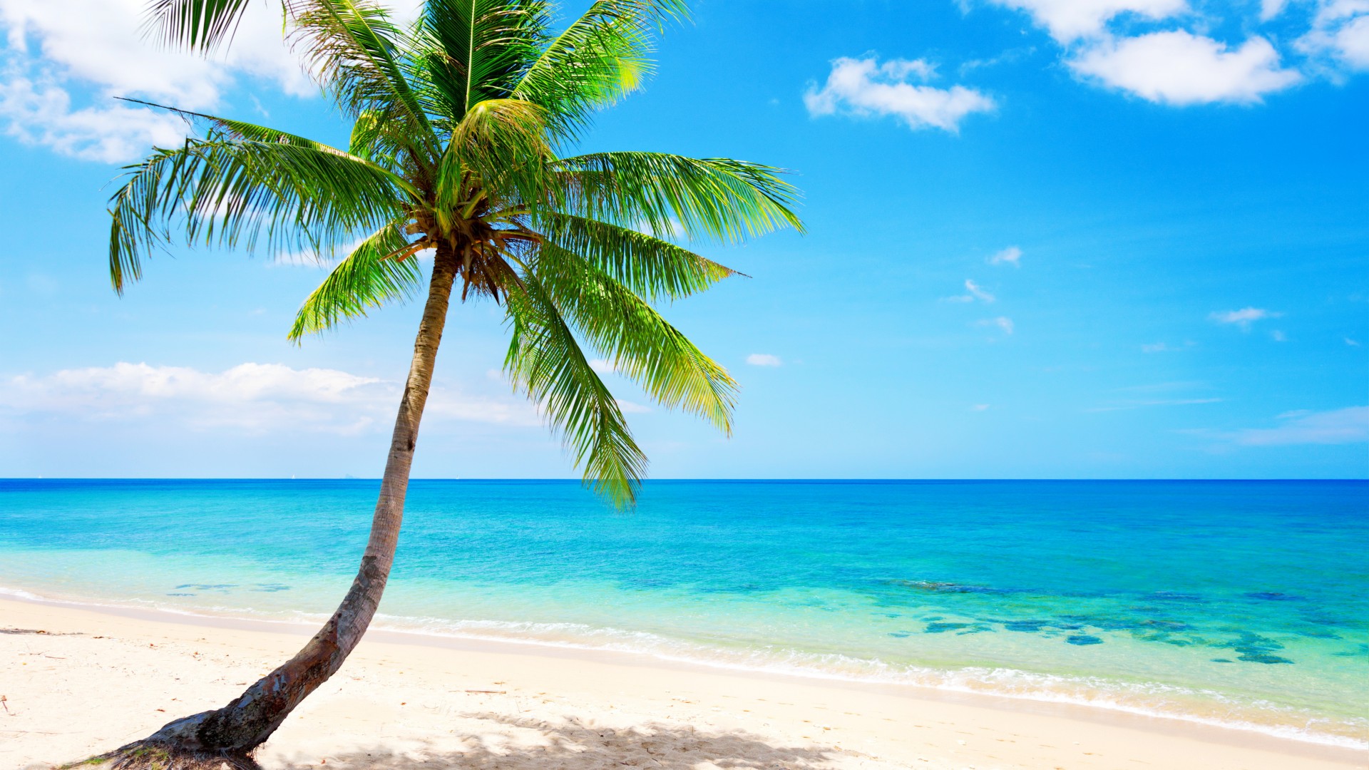热带天堂,沙滩,海岸,蓝色大海,翡翠,棕榈树,主题自然风光桌面壁纸