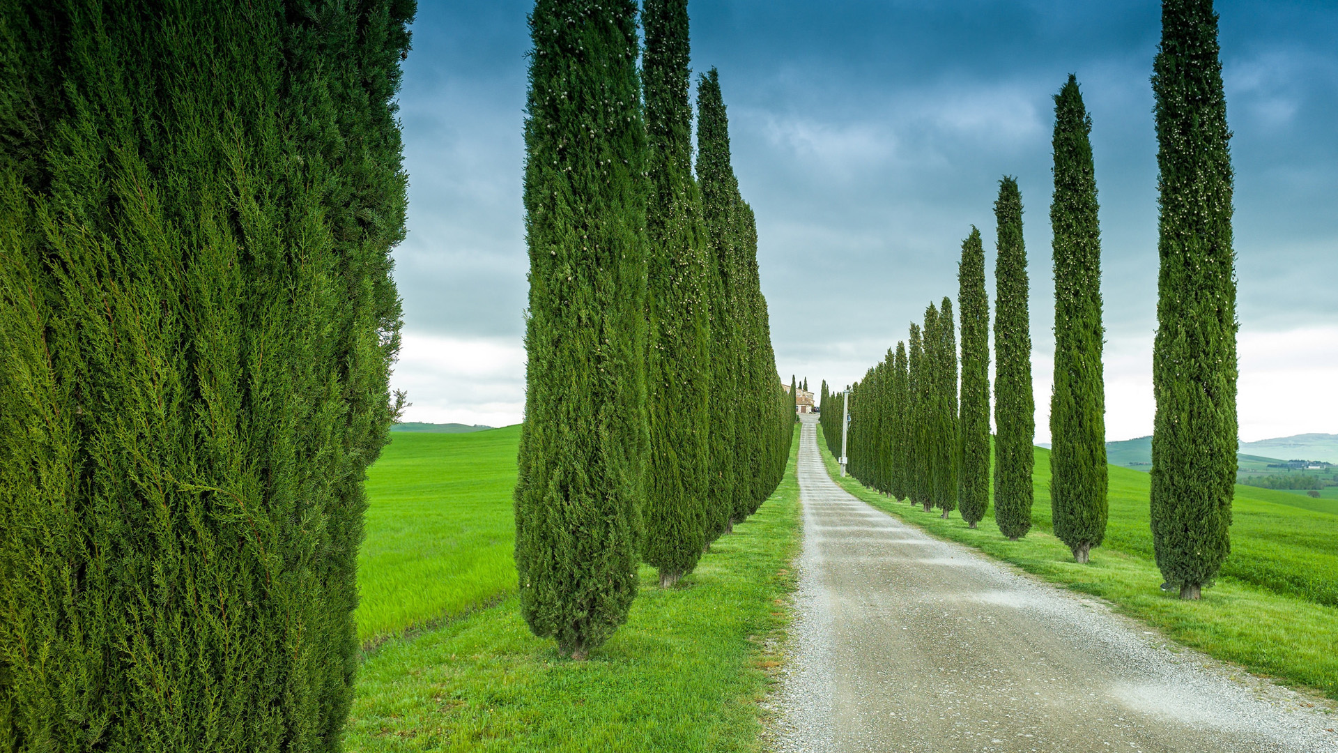 自然风景意大利,托斯卡纳,道路,田野,树木,桌面壁纸
