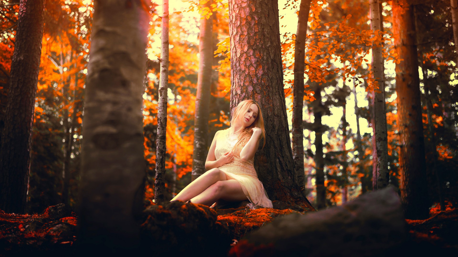 女孩，心情，森林，秋天，树林，落叶，石头，唯美壁纸