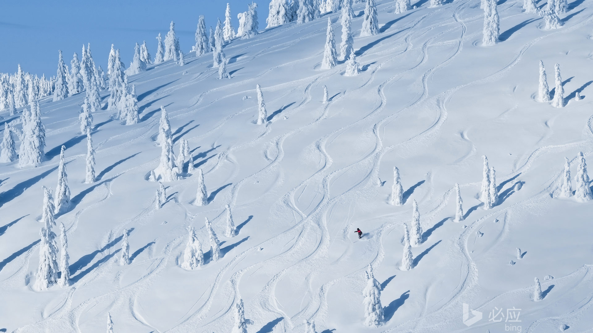 怀特菲什的雪山风景桌面壁纸