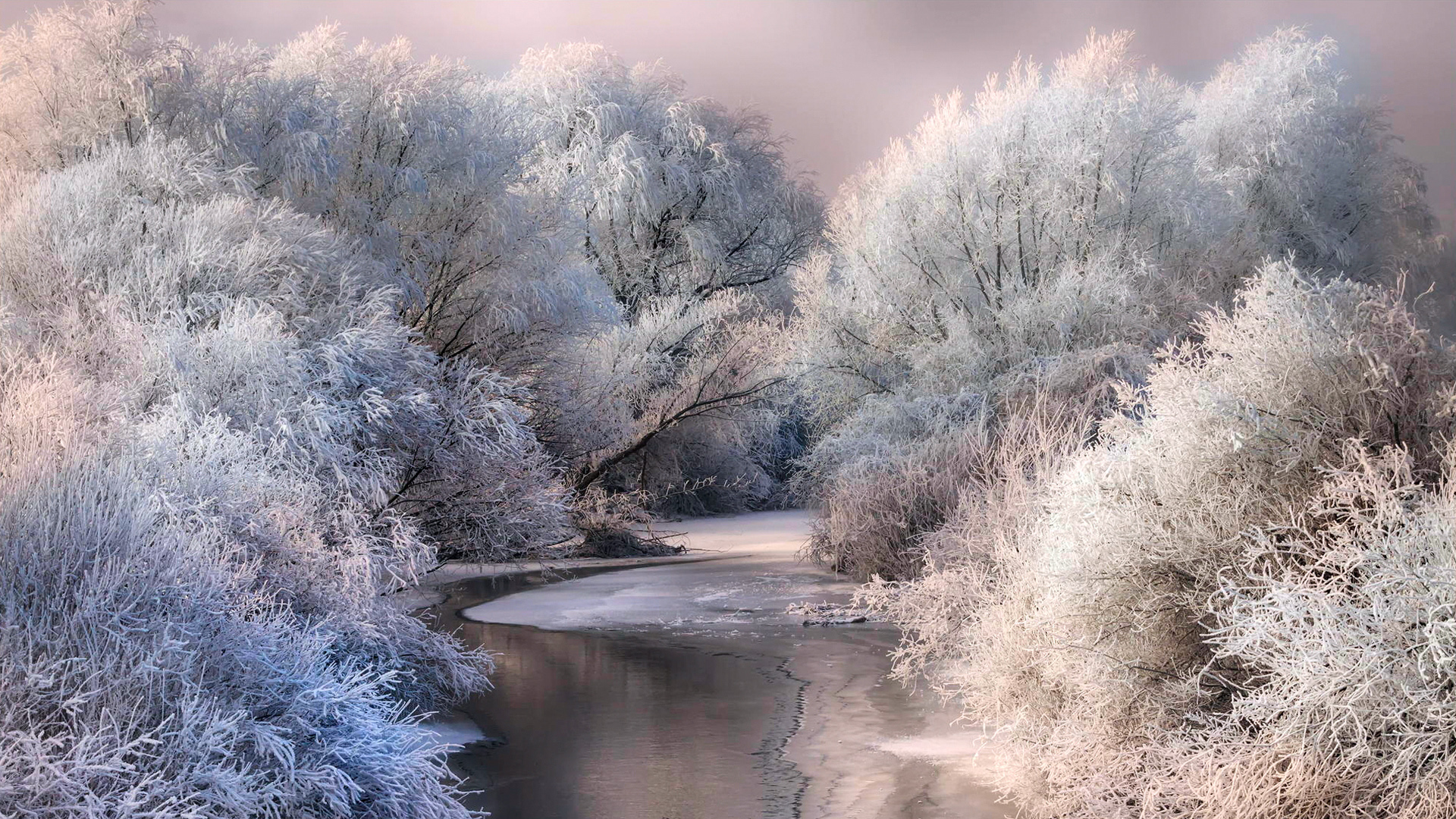 冬天,雪,冰,霜,树木,河流,自然风景桌面壁纸