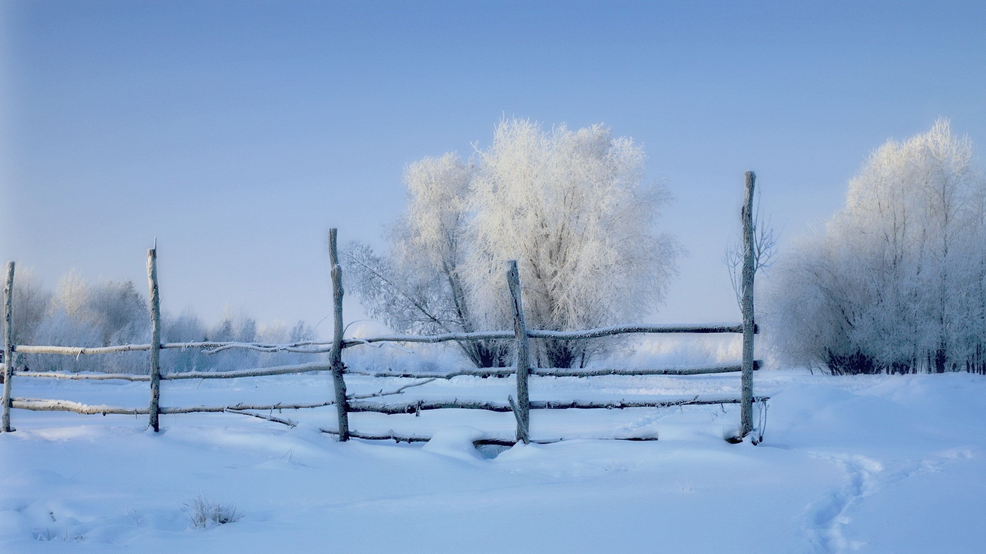 雪，早晨，雪栅栏，树林，冬天风景图片壁纸