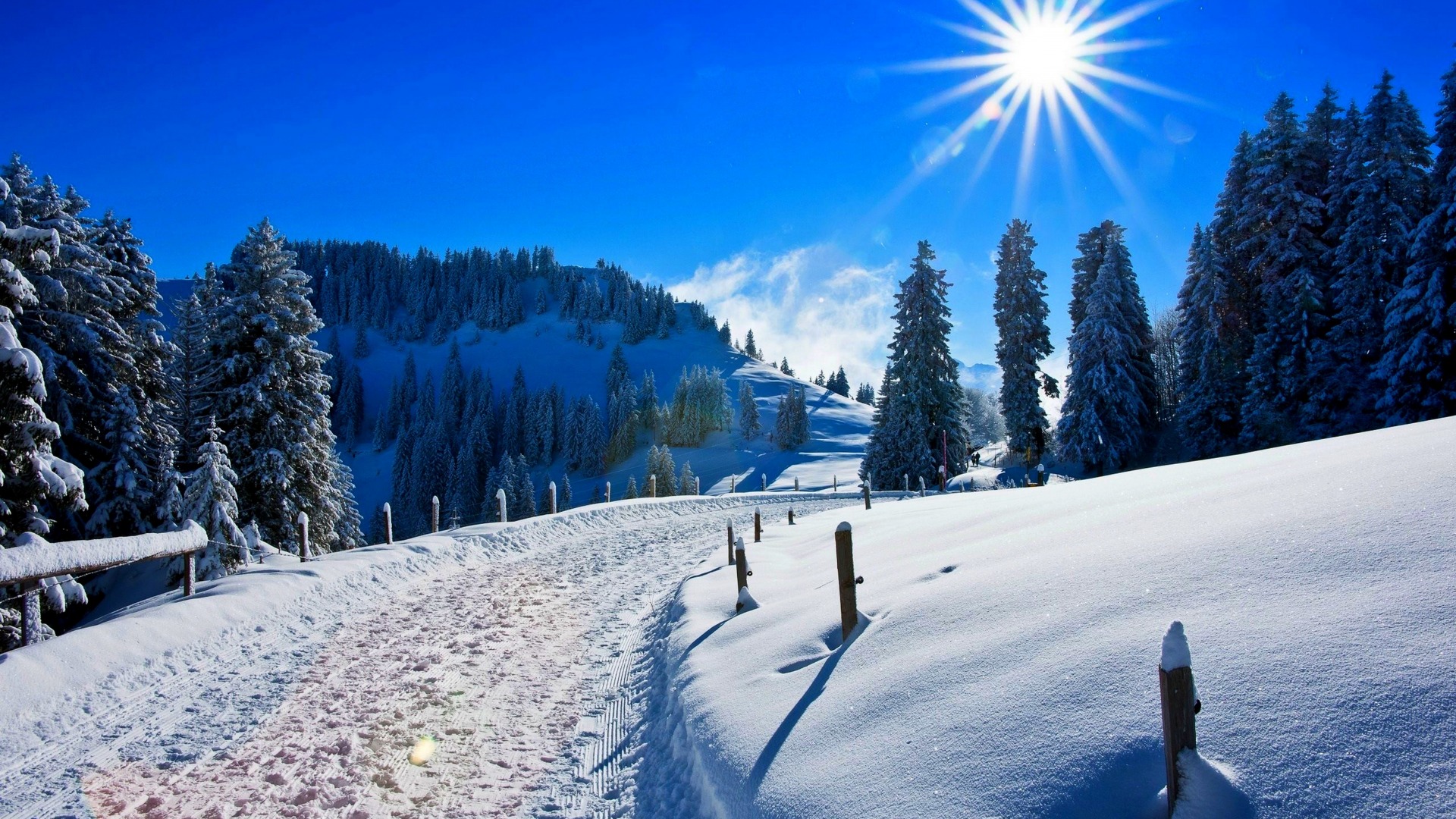 冬天,雪山,自然,路,山,林,冬天美景,桌面壁纸
