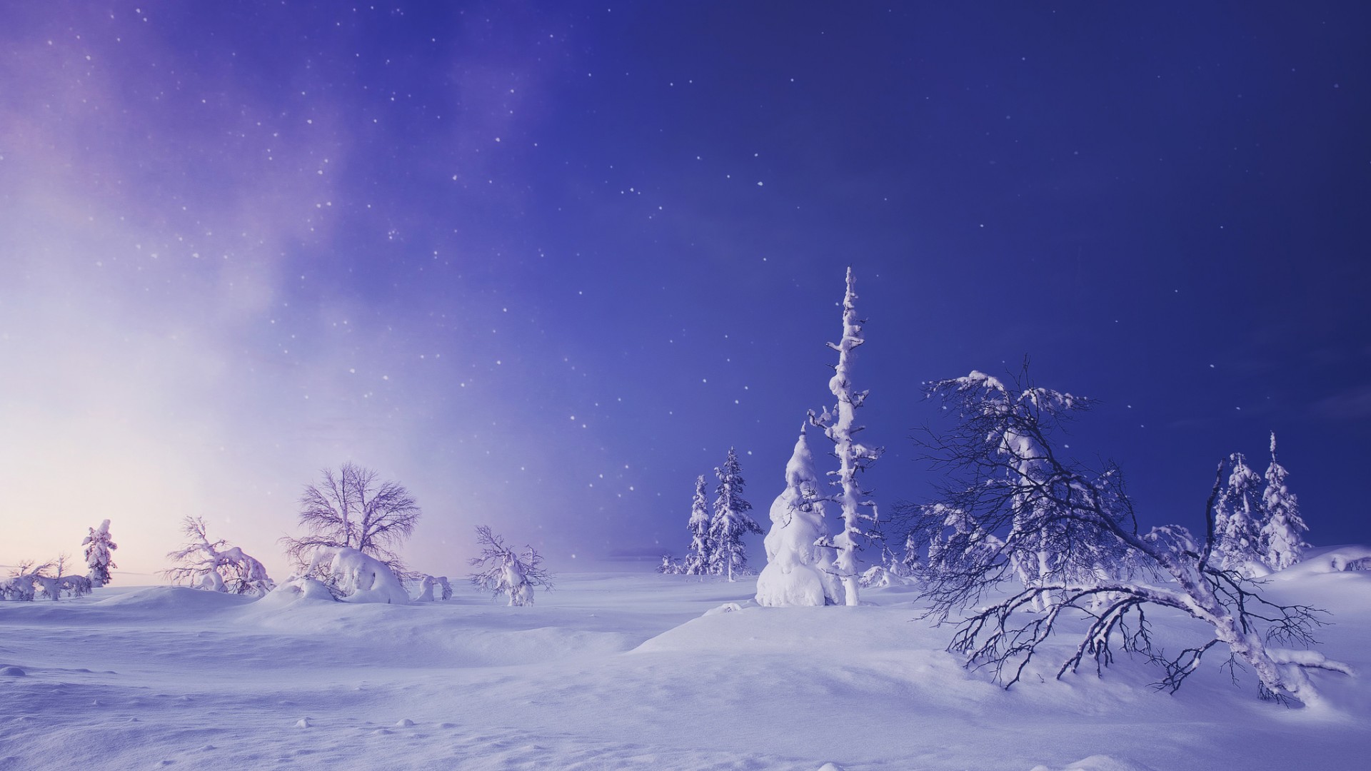 芬兰,拉普兰,冬季,雪,树,天空,风景桌面壁纸