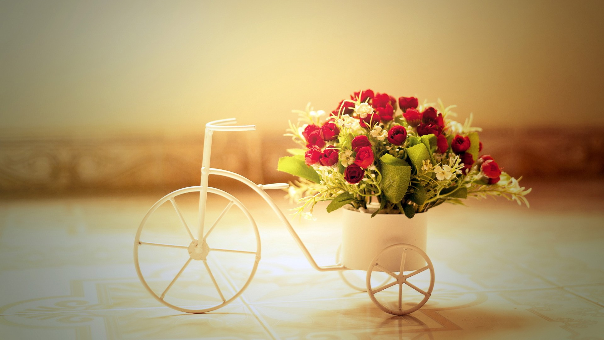 浪漫的,玫瑰花,自行车宽屏桌面壁纸