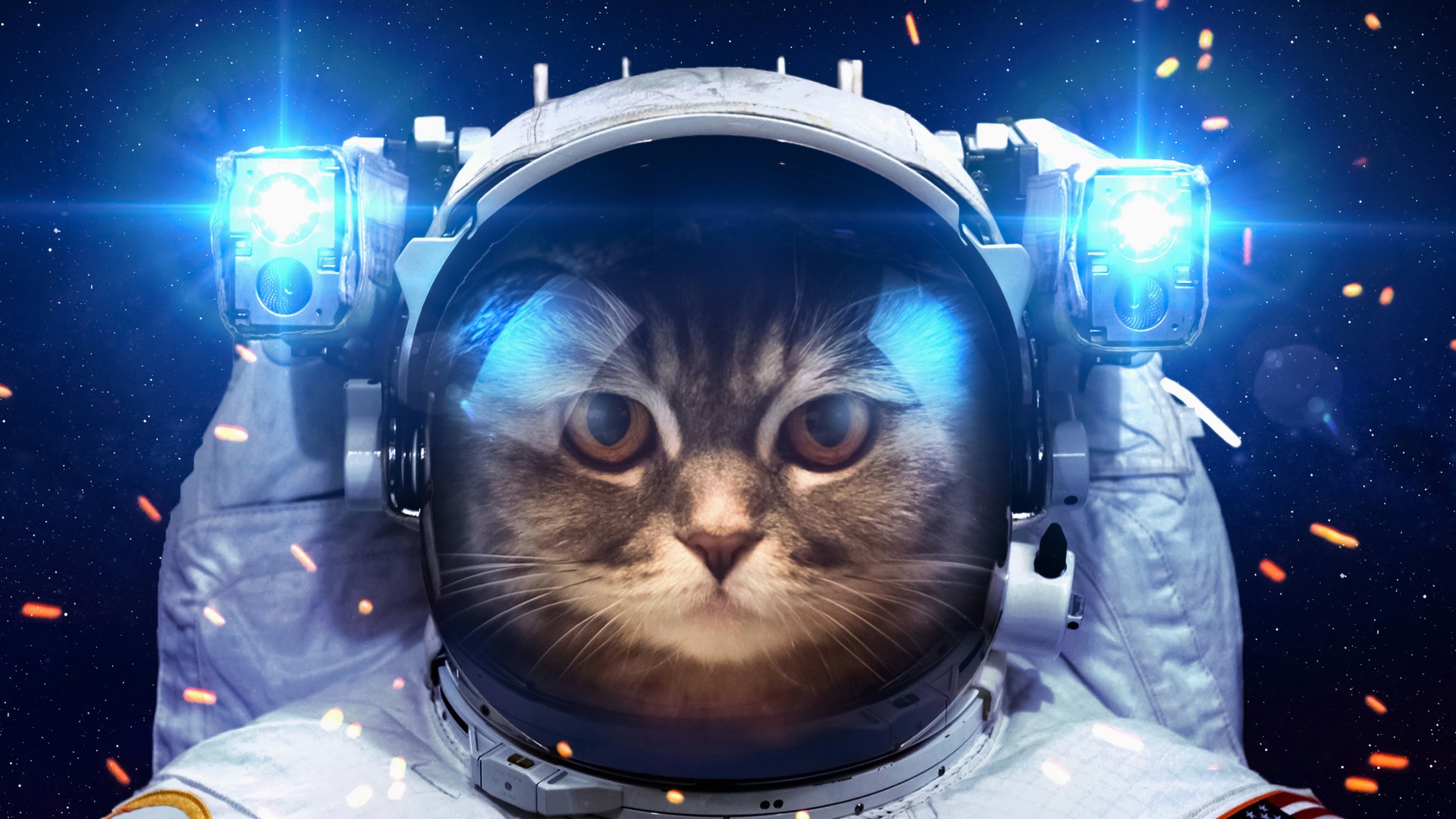 猫,宇航员,航天服,手电筒,太空桌面壁纸