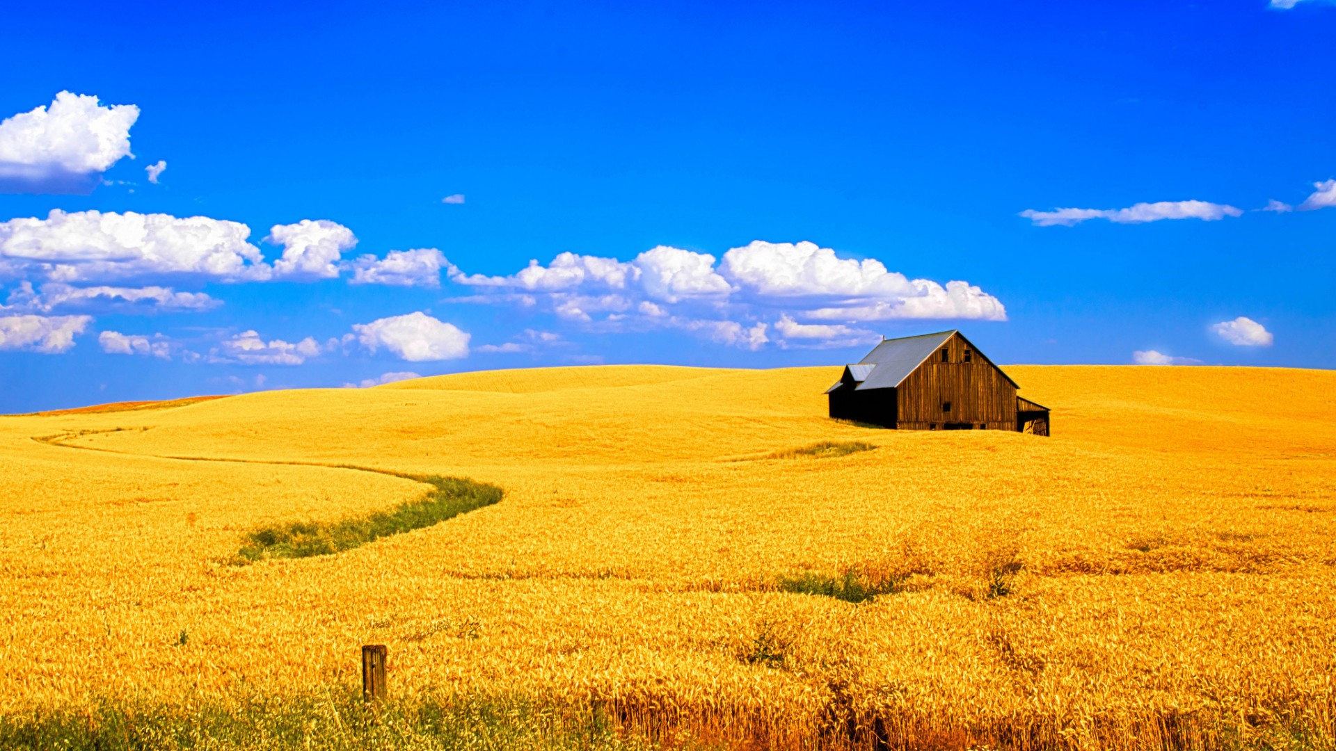 农场,麦田,小麦,房子,天空,云,风景图片,桌面壁纸