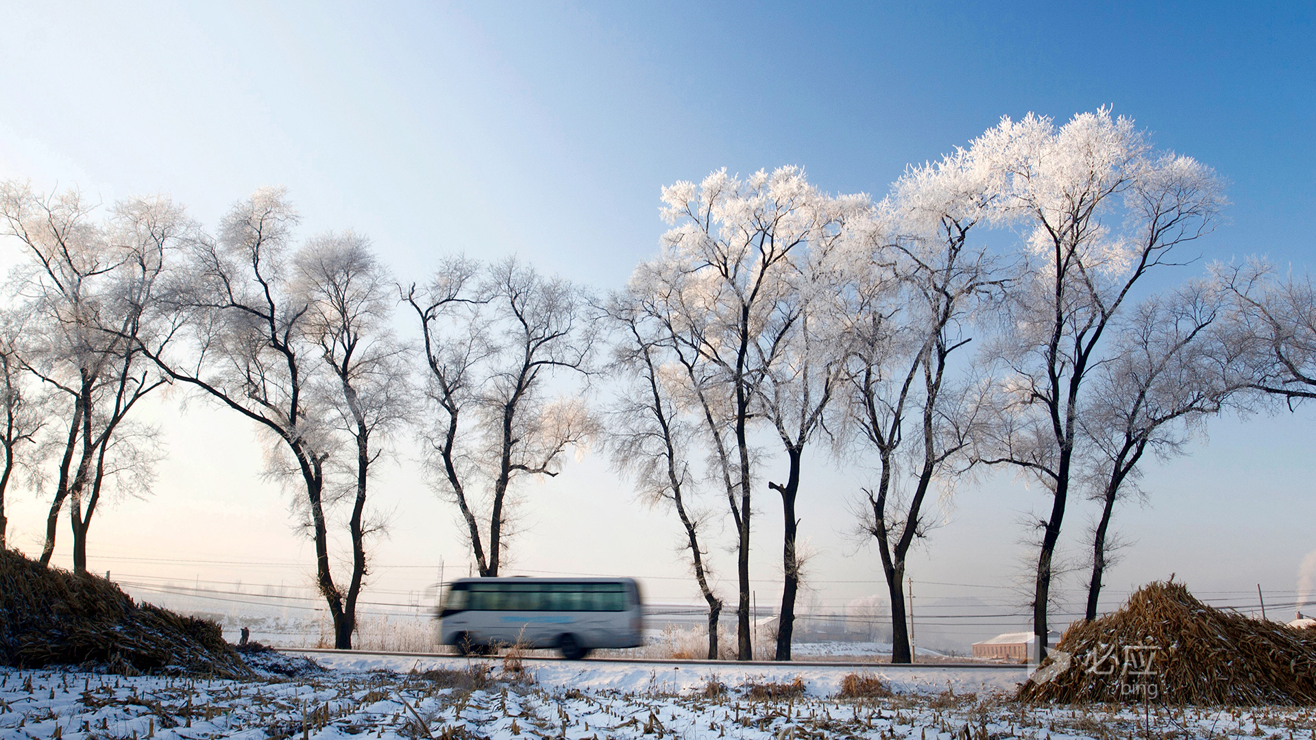 冬天风景，树，公路，汽车，雪地，田园，天空风景，桌面壁纸