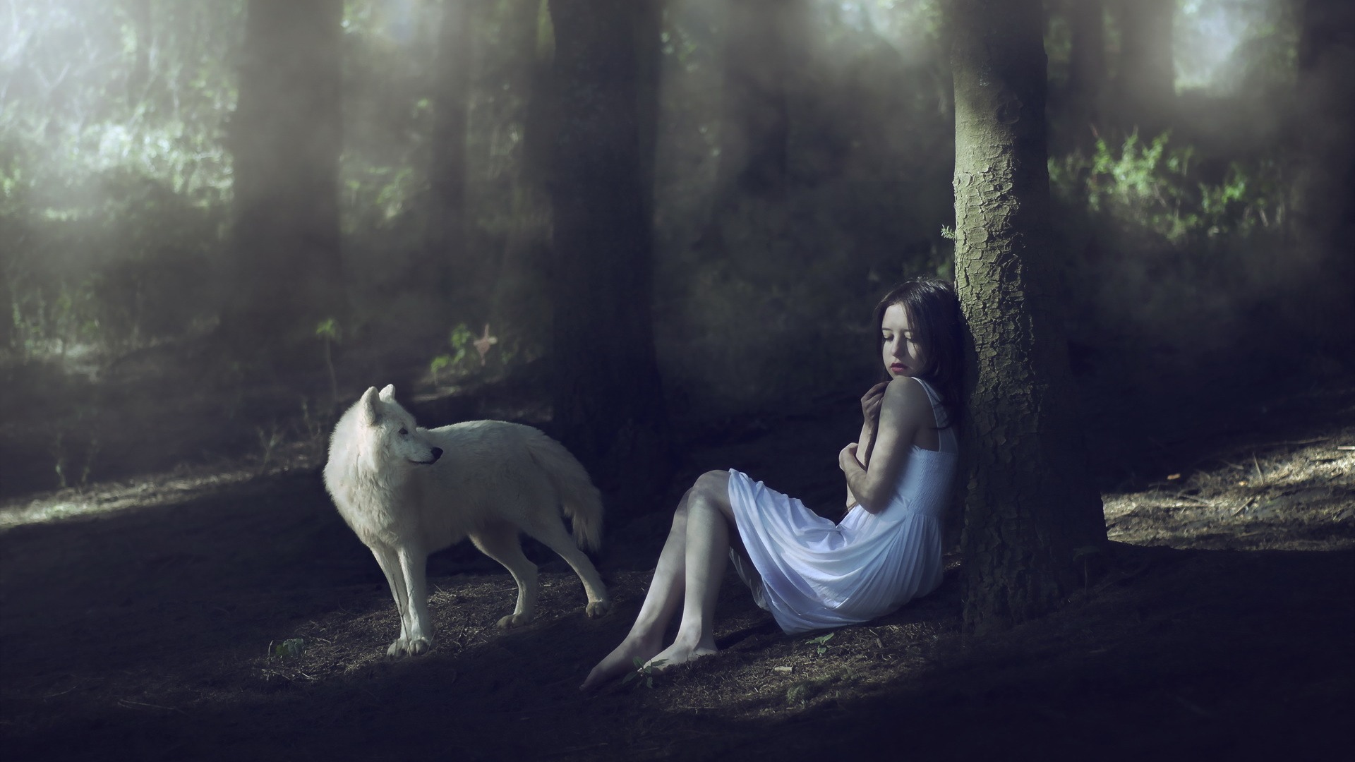 女孩，狗，森林，唯美意境壁纸