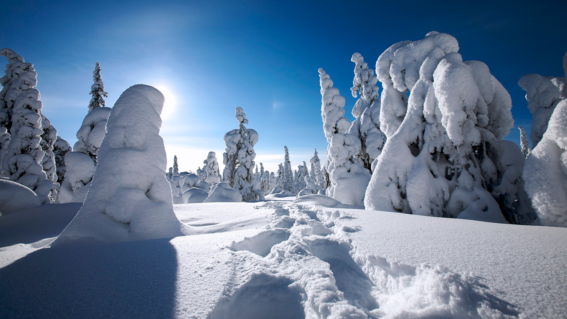 美丽的冬雪风景宽屏桌面壁纸 高清