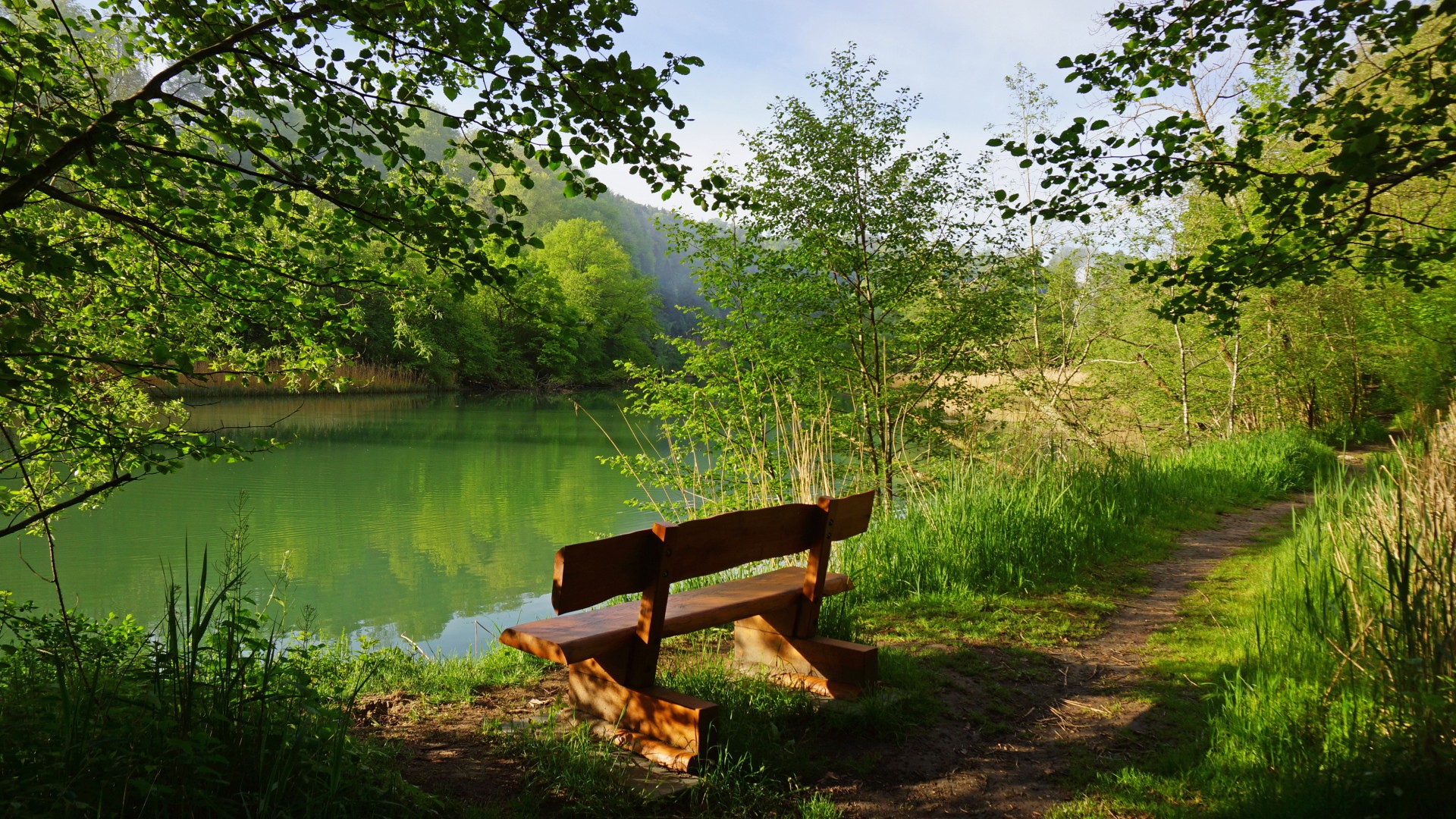 湖泊，森林，树木，椅子，小路，绿色的风景，护眼壁纸
