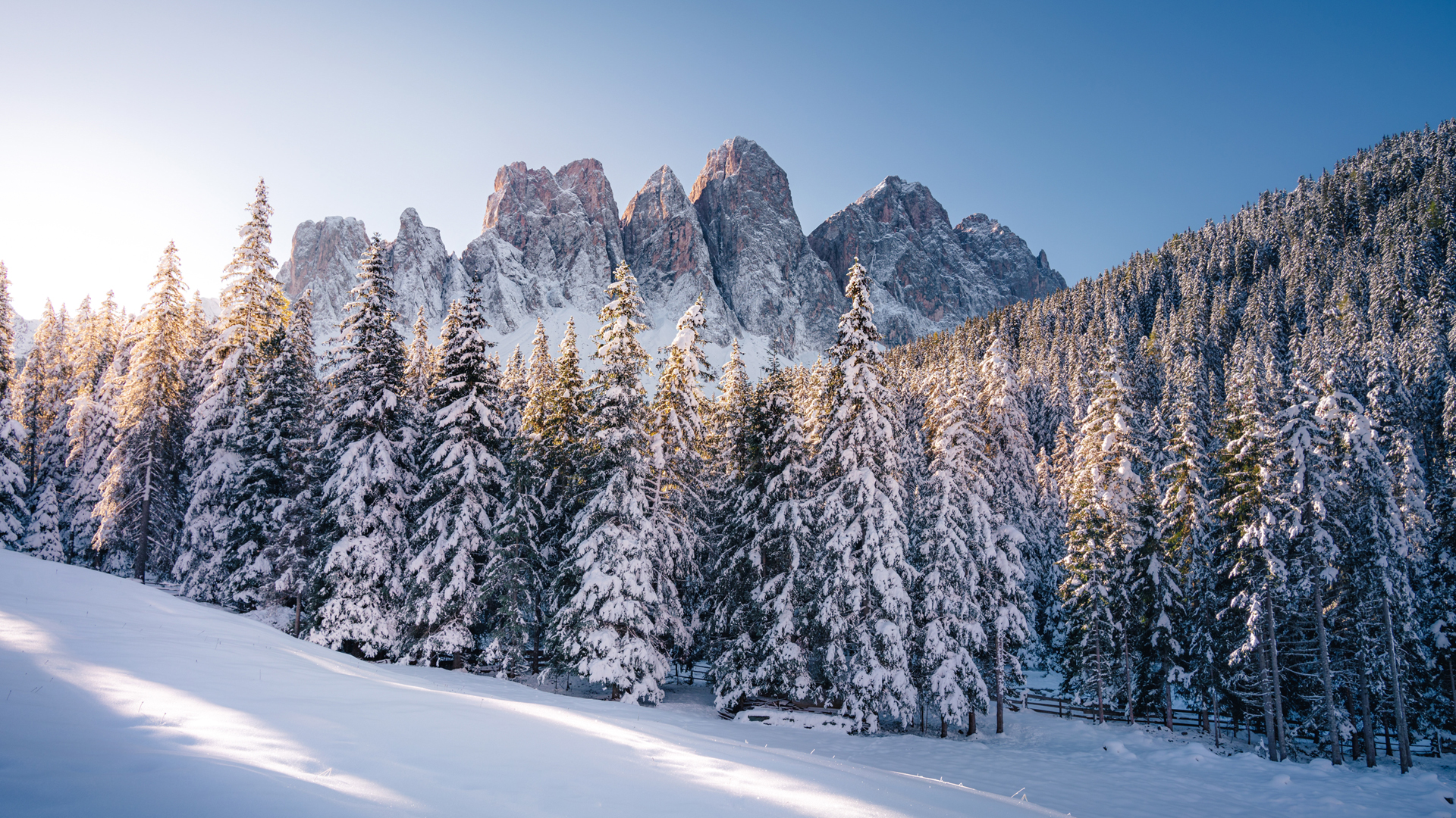 高山 雪景 树林 厚厚的雪地风景桌面壁纸