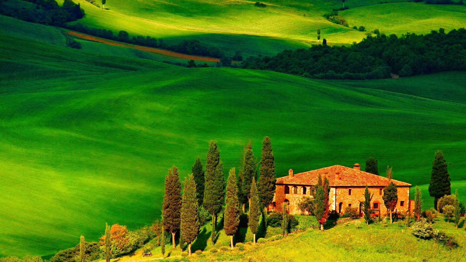 意大利托斯卡纳,房子,丘陵,树木,风景桌面壁纸