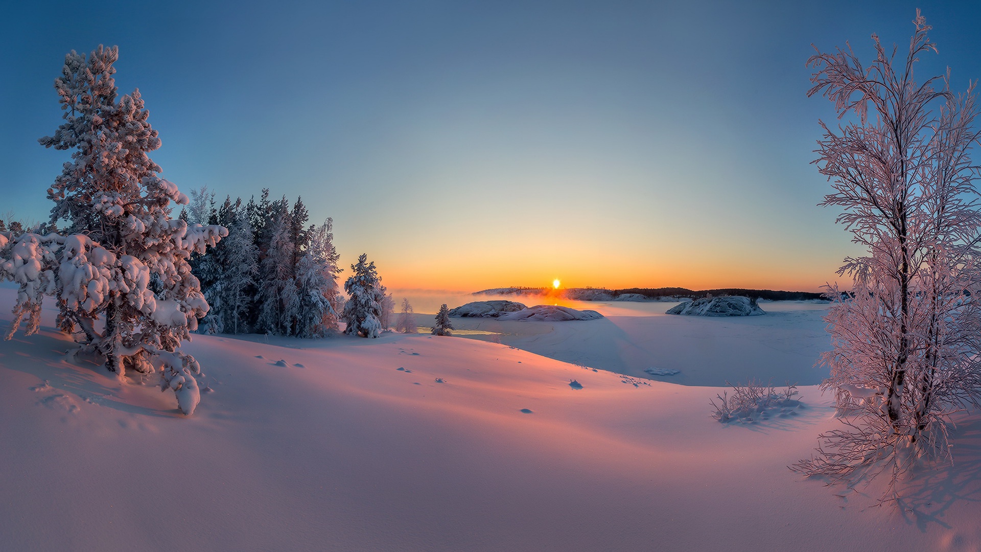 冬天,雪,早上,树木,天空,雪景桌面壁纸