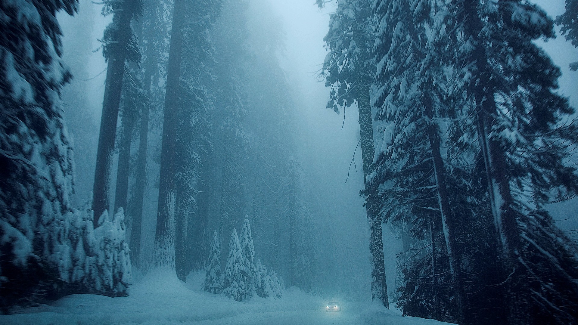 冬日雪景，自然之美，公路旁树挂银装，洗车后清新桌面壁纸免费下载