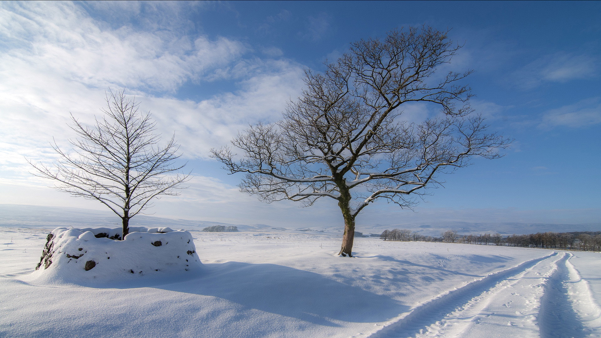 白茫茫雪地,道路,冬季,风景桌面壁纸