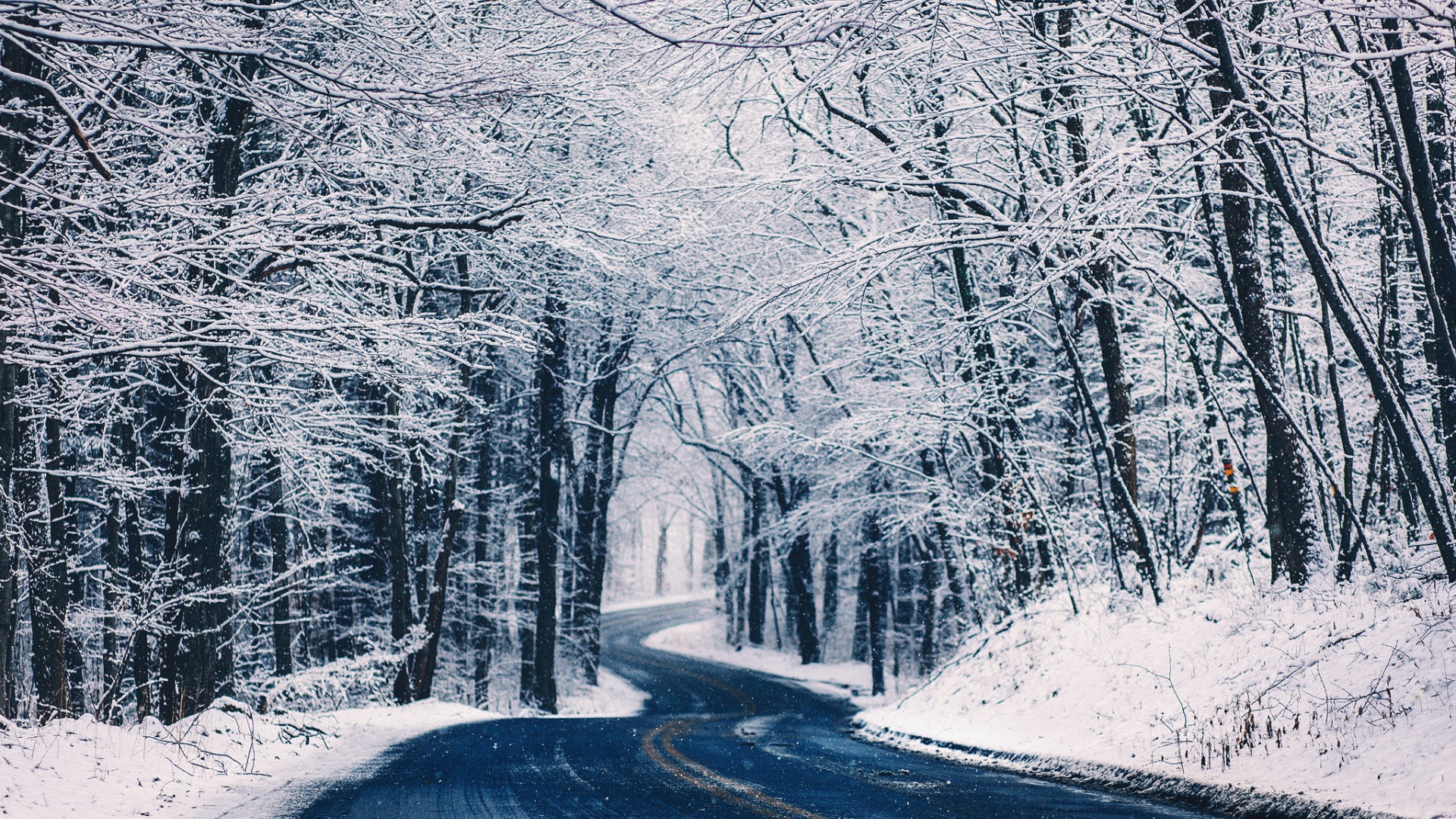 冬季雪天道路树木自然森林风景桌面壁纸