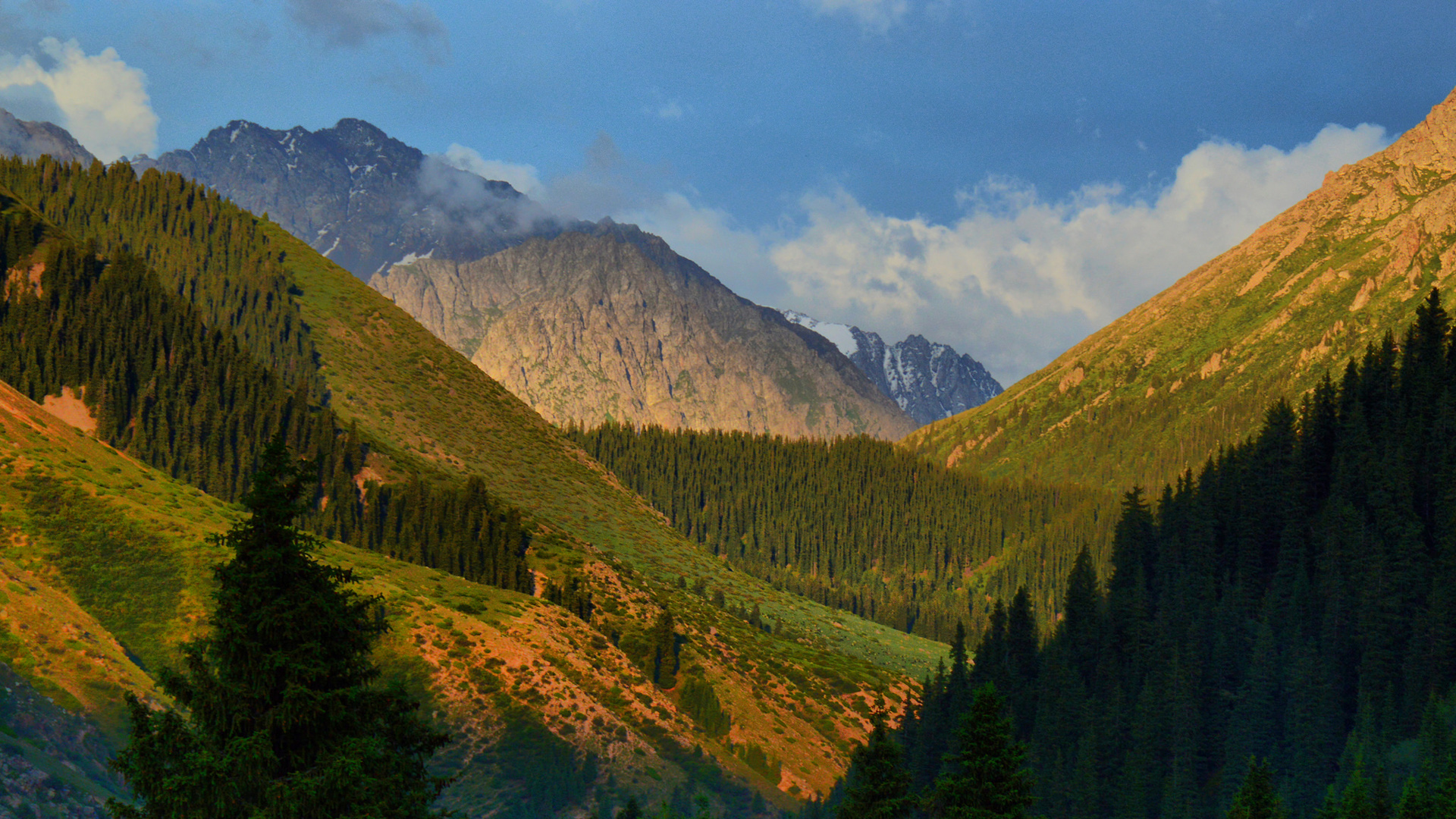 峡谷 高山 树木 吉尔吉斯斯坦风景桌面壁纸