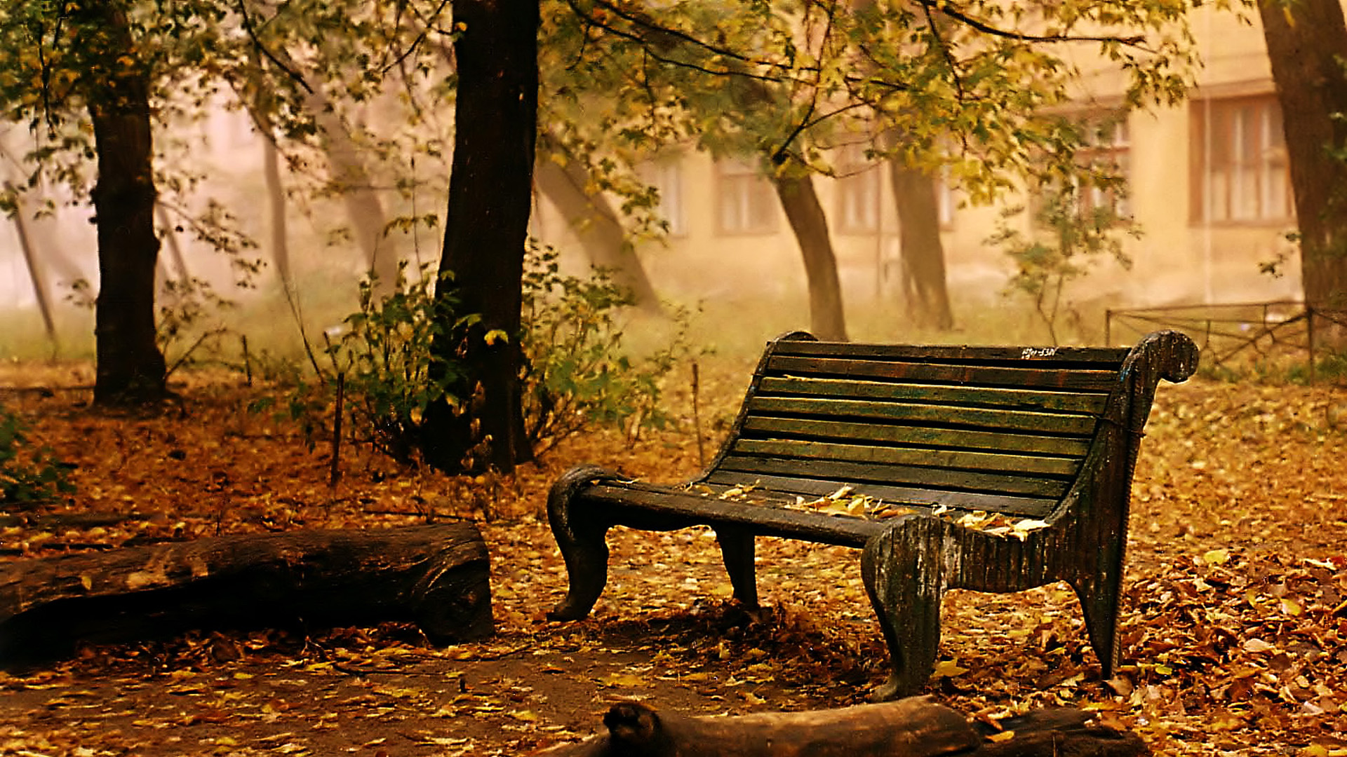 秋天公园,树木,旧板凳,满地落叶,风景桌面壁纸