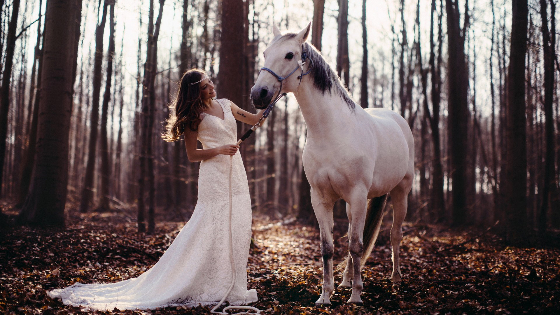女孩，礼服，白色裙子，白马，森林图片，唯美壁纸