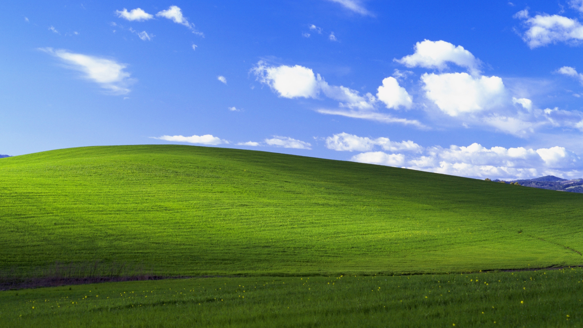 蓝天白云绿草地风景,windows xp默认风景经典桌面壁纸