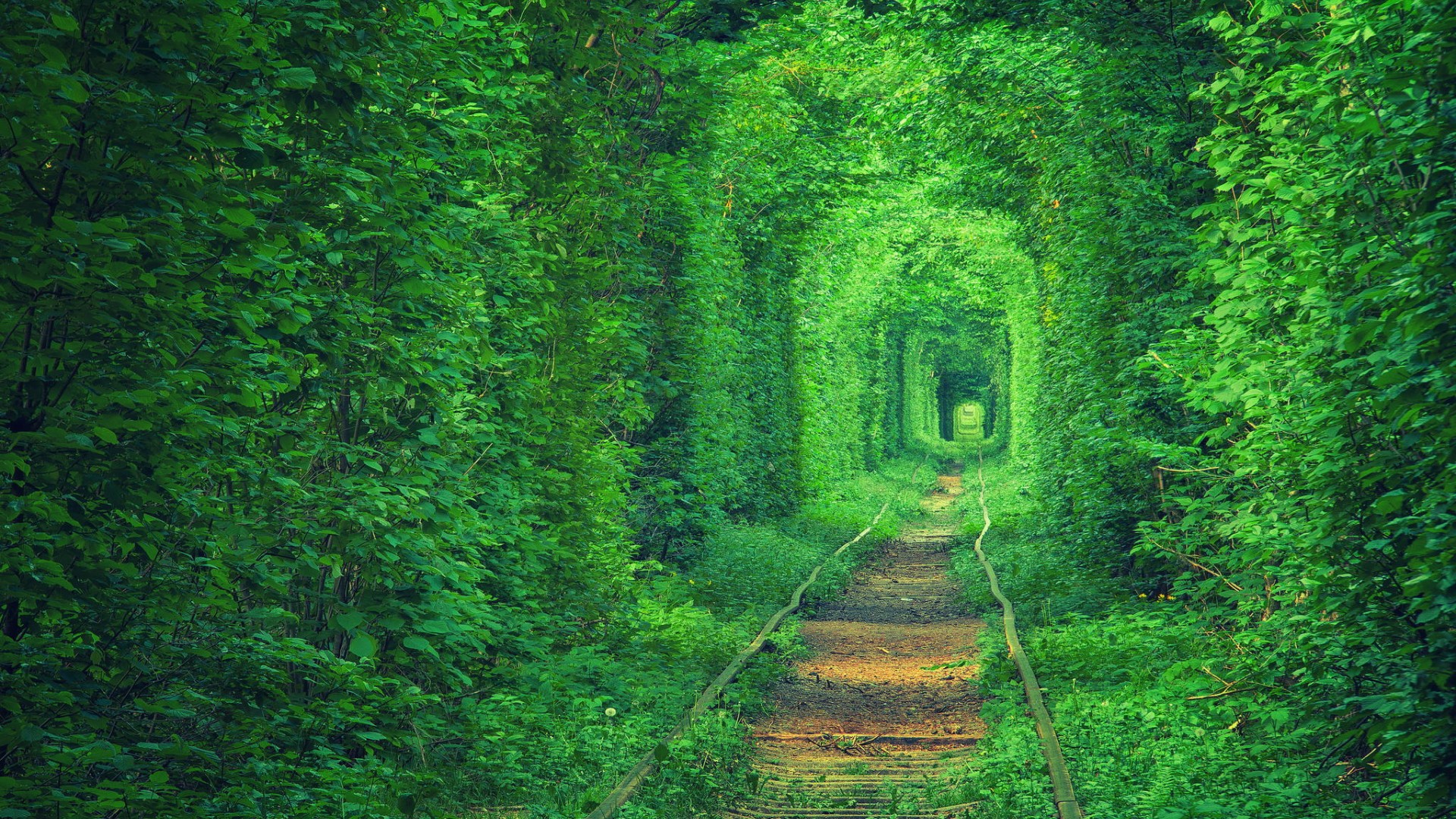 乌克兰废弃的轨道,绿色森林,护眼,浪漫有爱的风景桌面壁纸