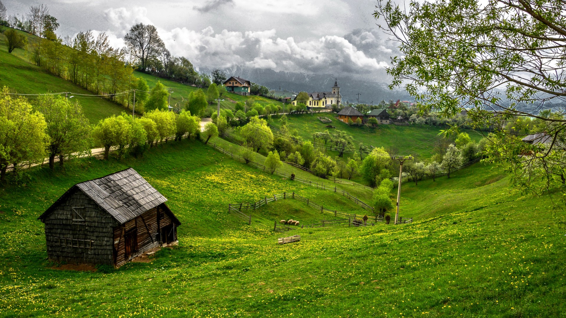 罗马尼亚，特兰西瓦尼亚，草，树木，小屋，房子，路，风景桌面壁纸