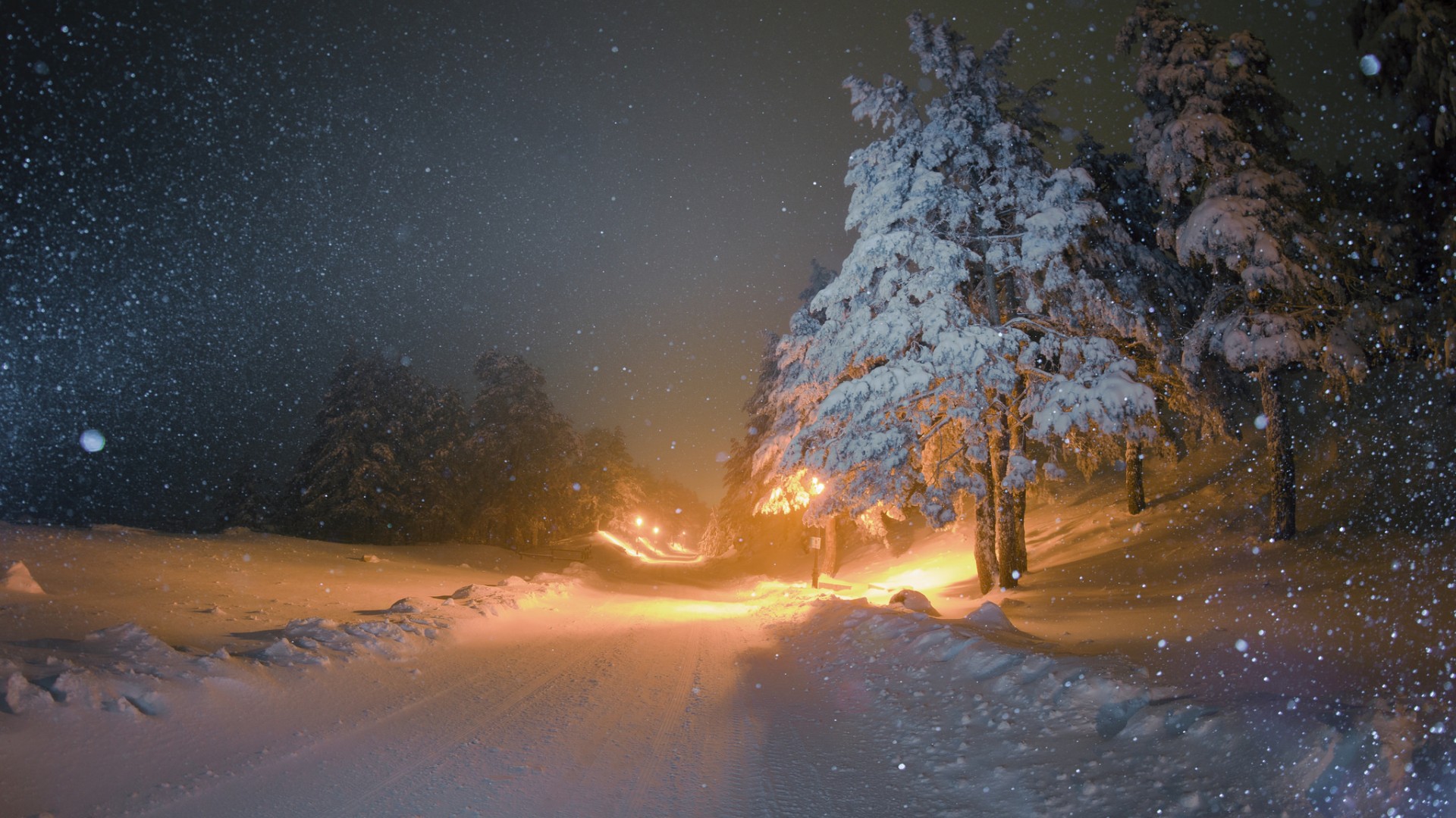 冬天,雪树,路,晚上灯,桌面壁纸