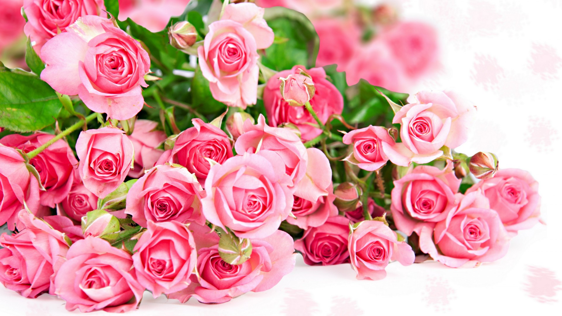 粉红色，鲜花，玫瑰，桌面壁纸